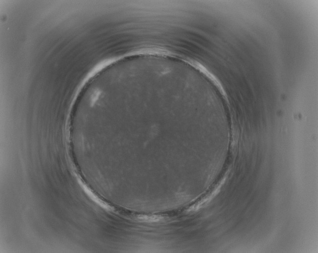 X0000082741037200702240008