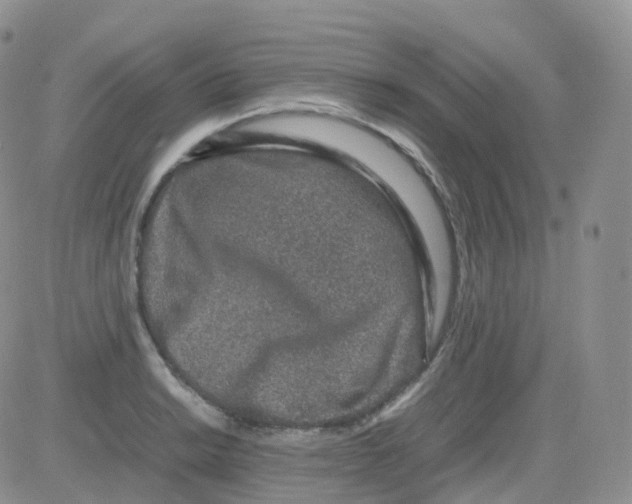 X0000082741038200702240008