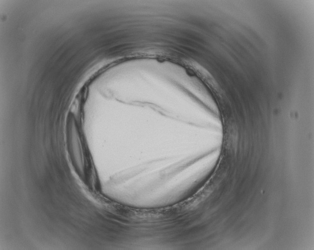 X0000082741039200702240008