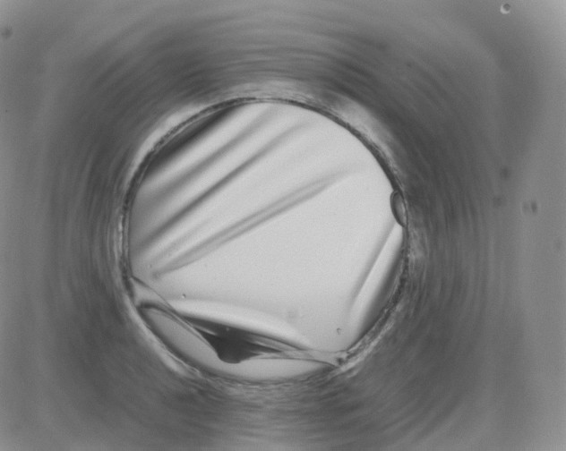 X0000082741040200702240008