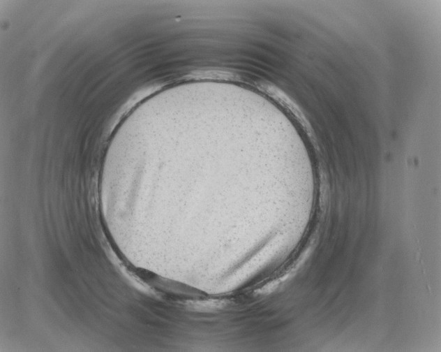 X0000082741041200702240008