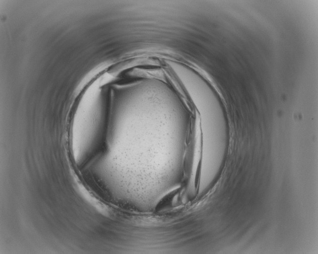 X0000082741042200702240008