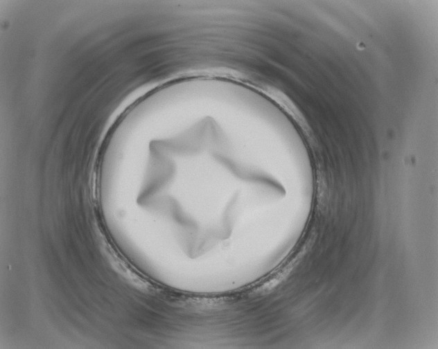 X0000082741044200702240008