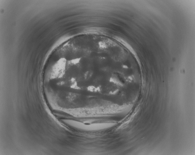 X0000082741045200702240008