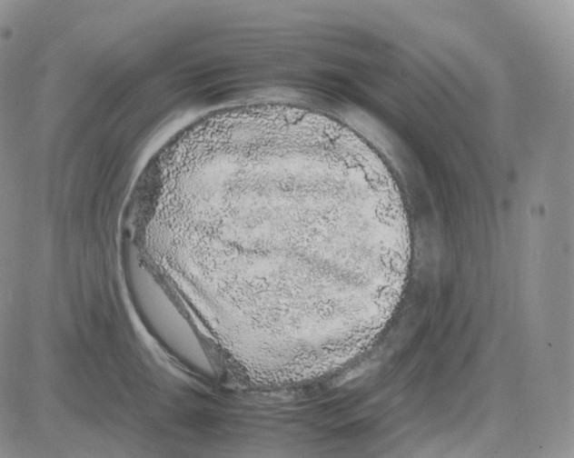 X0000082741047200702240008