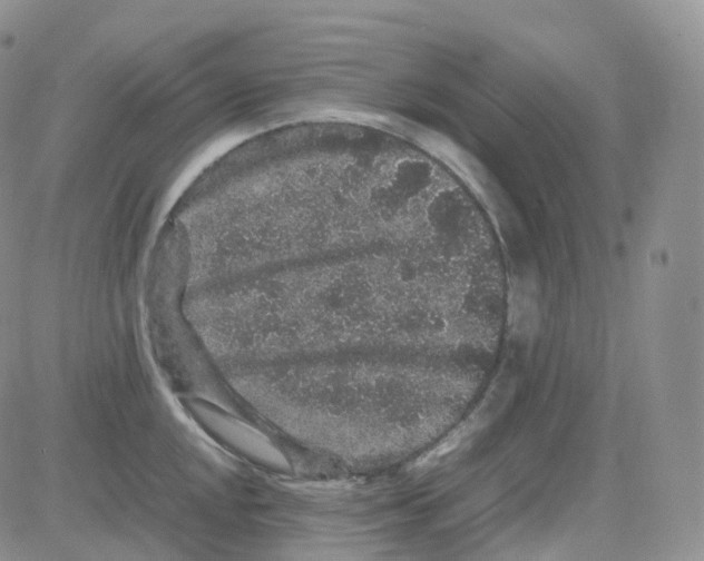 X0000082741048200702240008