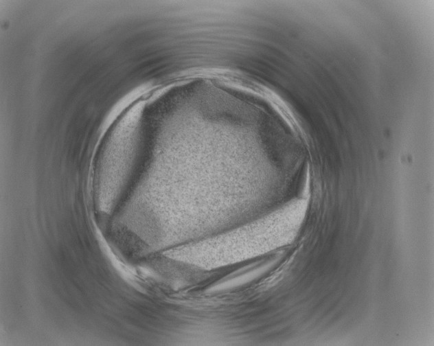 X0000082741050200702240008