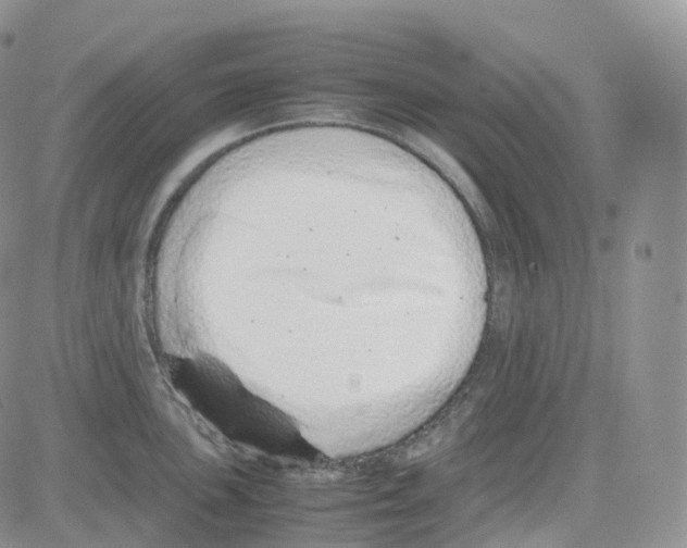 X0000082741051200702240008