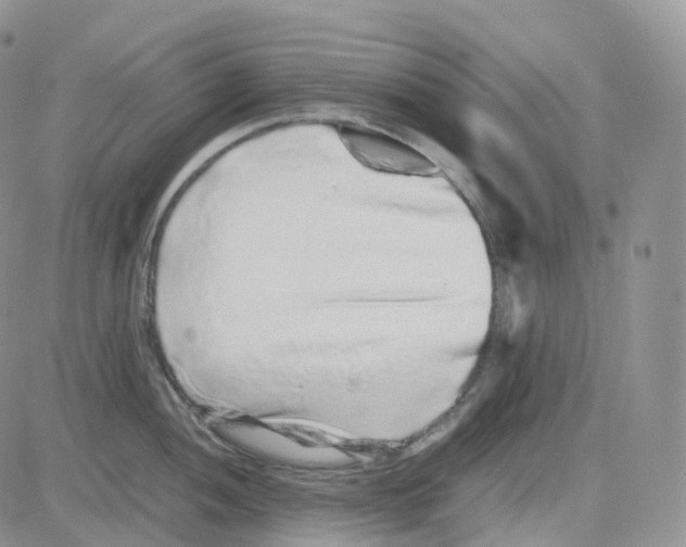 X0000082741052200702240008