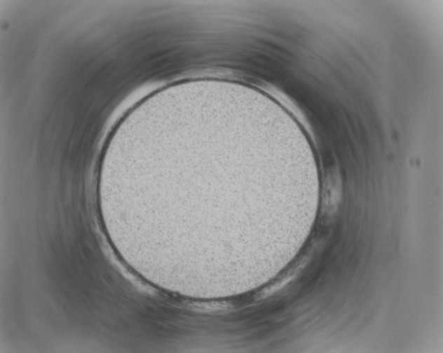 X0000082741053200702240008