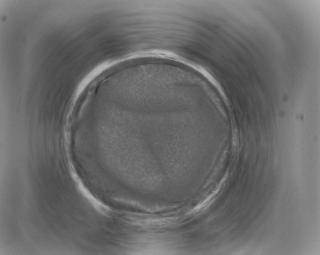 X0000082741054200702240008