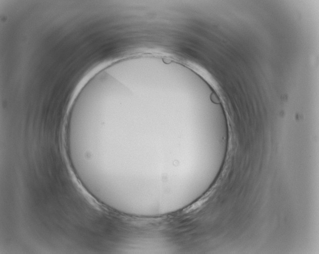 X0000082741056200702240008