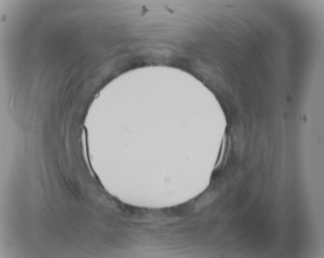 X0000082741057200702240007