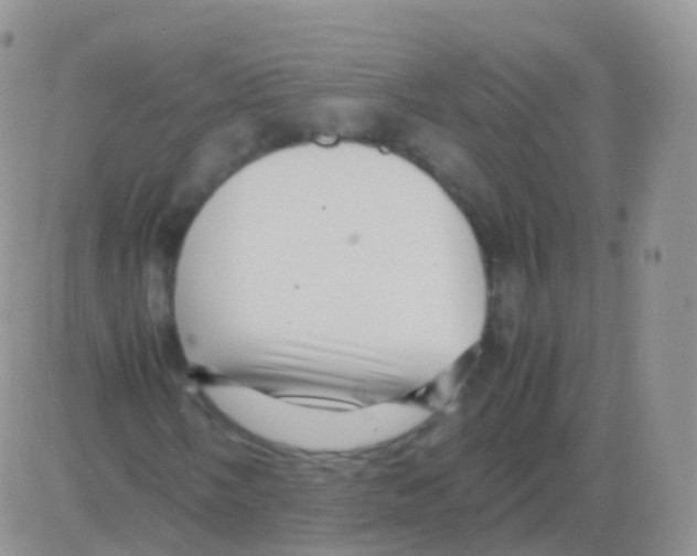 X0000082741058200702240007