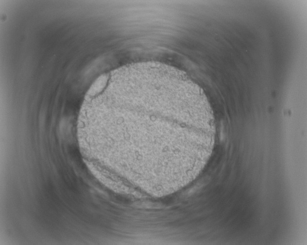 X0000082741059200702240007