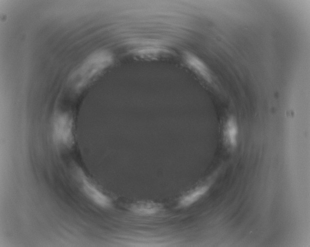 X0000082741060200702240007