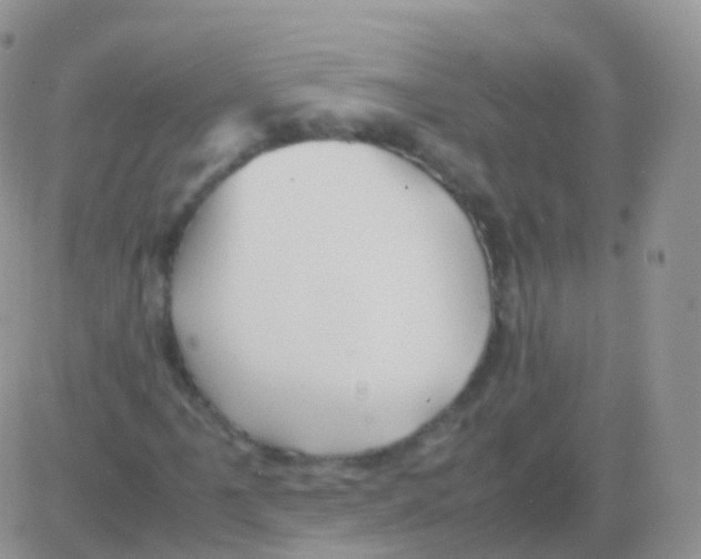 X0000082741061200702240007