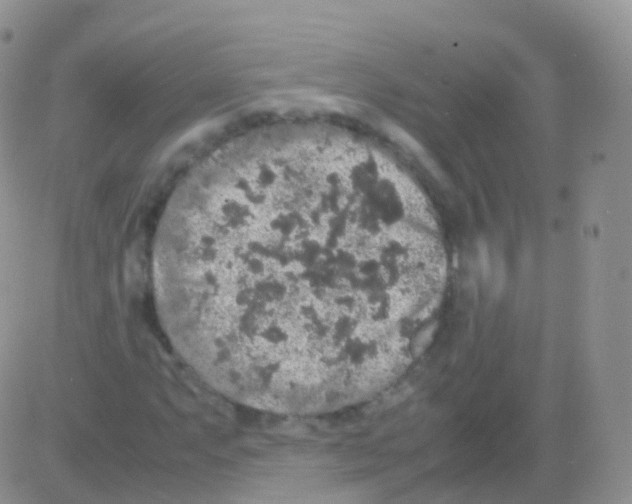 X0000082741063200702240007