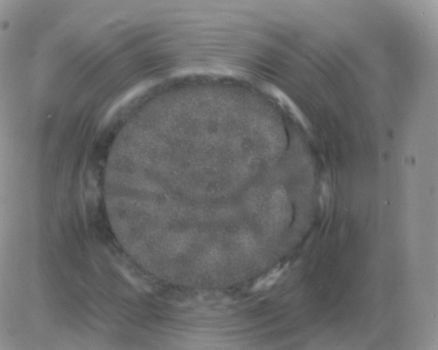 X0000082741064200702240007