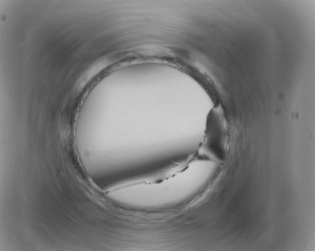 X0000082741065200702240007