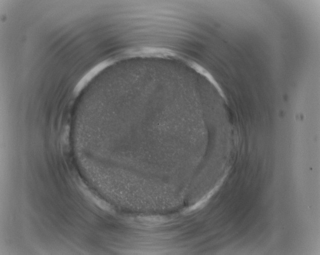 X0000082741066200702240007