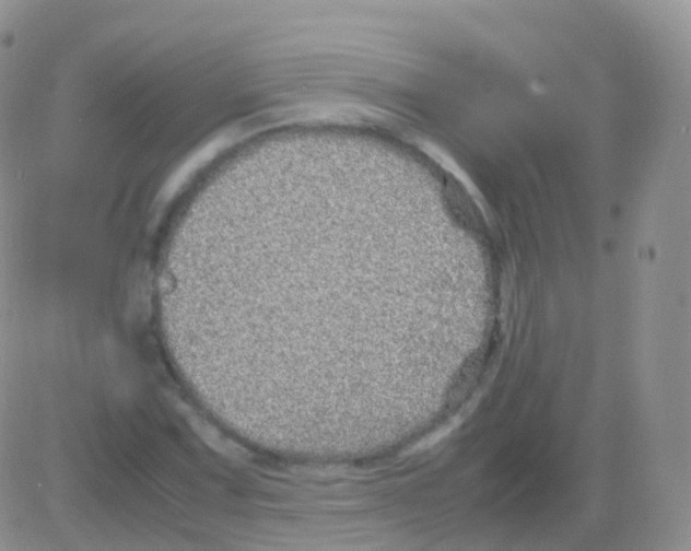 X0000082741067200702240007