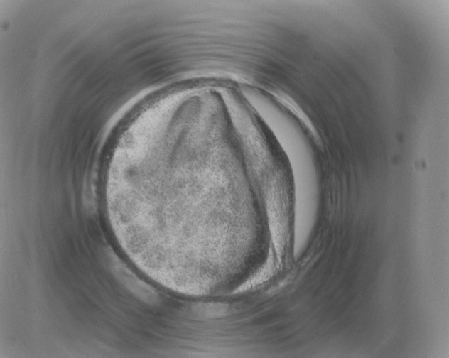 X0000082741068200702240007