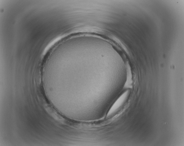 X0000082741069200702240007