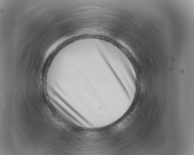 X0000082741070200702240007