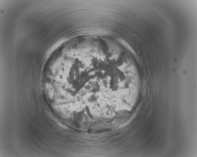 X0000082741071200702240007