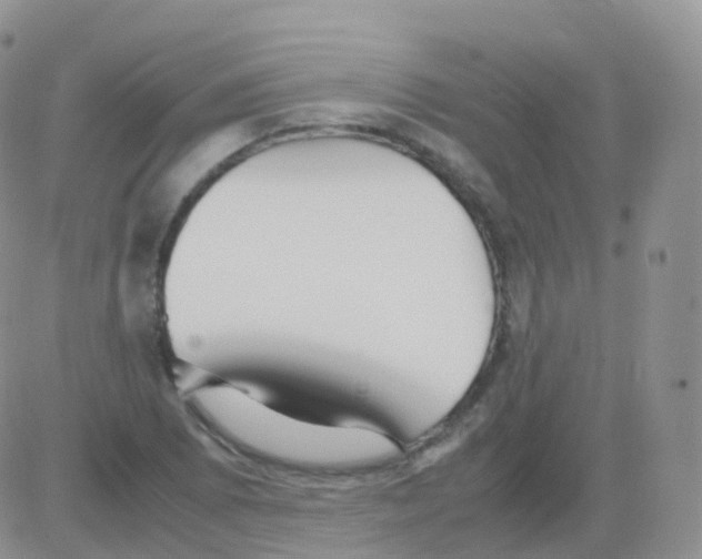 X0000082741073200702240007