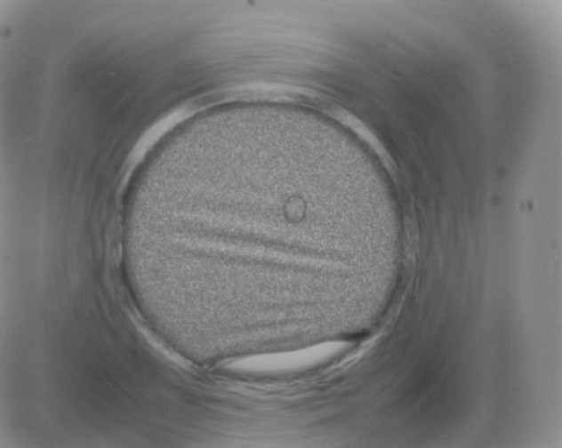 X0000082741075200702240007