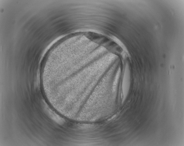 X0000082741076200702240007