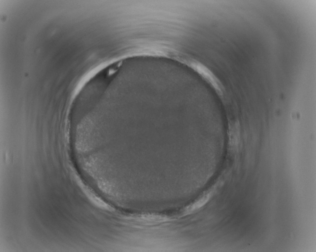 X0000082741077200702240007