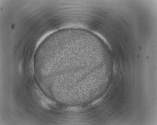 X0000082741078200702240007