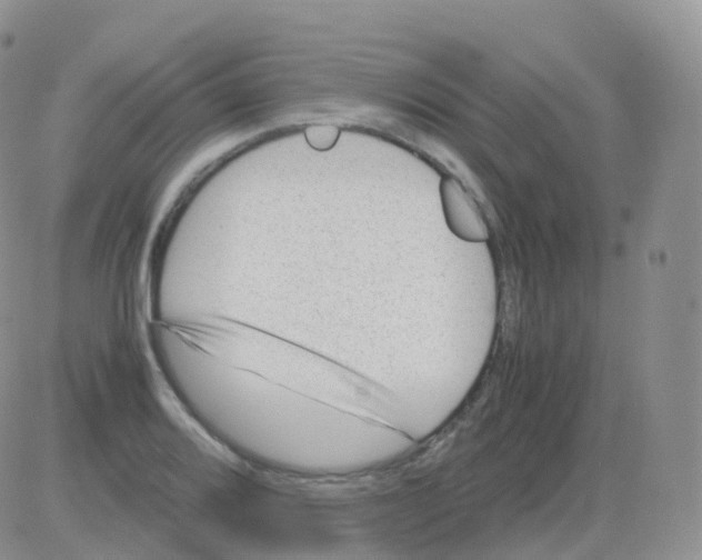 X0000082741080200702240007