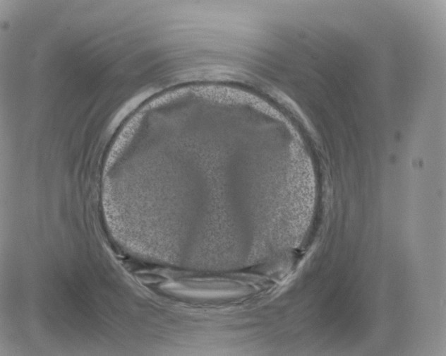 X0000082741081200702240007