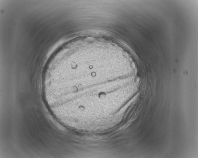 X0000082741083200702240007