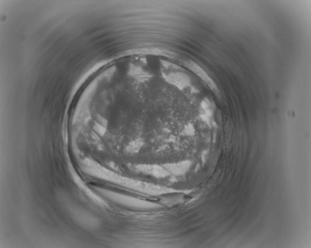 X0000082741084200702240007