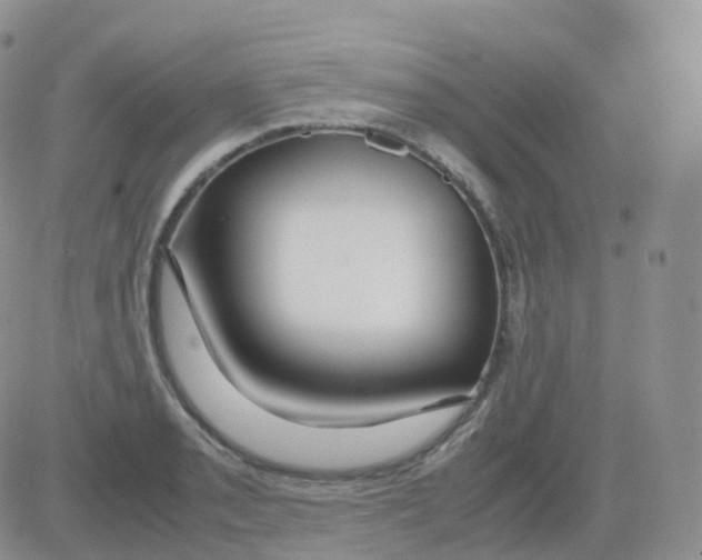 X0000082741085200702240007