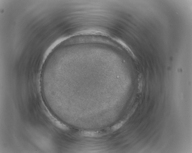 X0000082741086200702240007