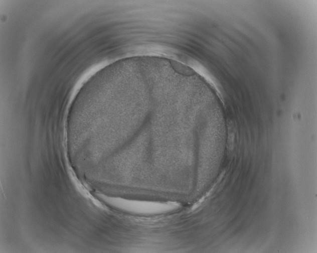 X0000082741088200702240007