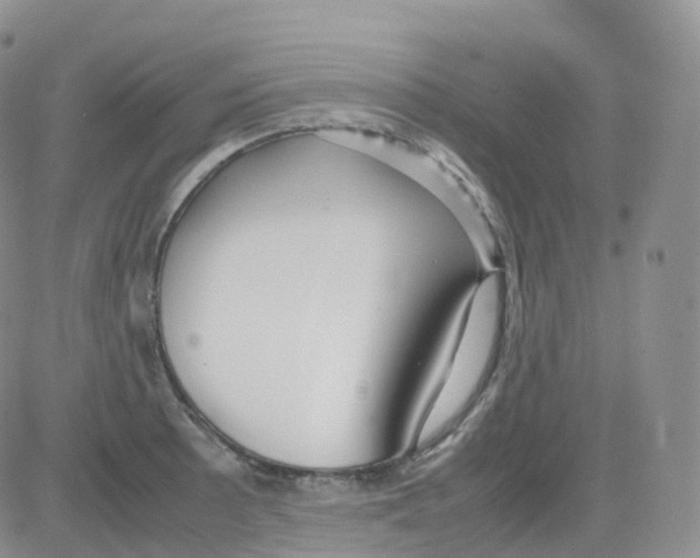 X0000082741089200702240007