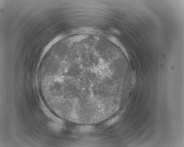 X0000082741090200702240007