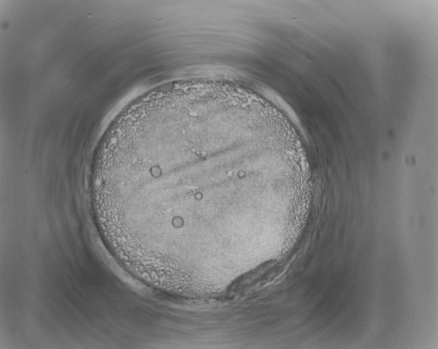 X0000082741091200702240007