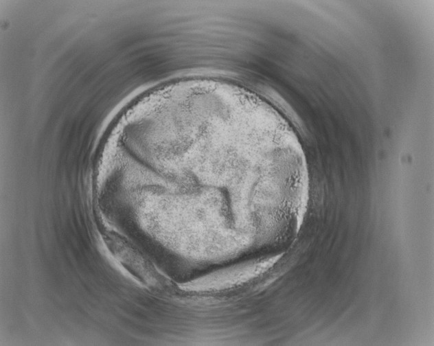 X0000082741092200702240007