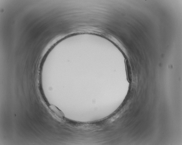 X0000082741093200702240007