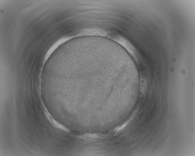 X0000082741094200702240006