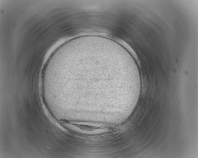 X0000082741096200702240006