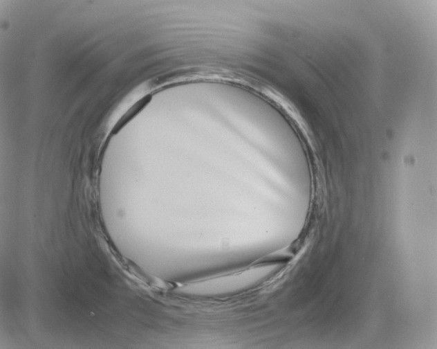 X0000082741097200702240006